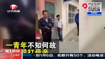 吃瓜网红打架事件视频在线观看,一场网络暴力引发的血案  第2张