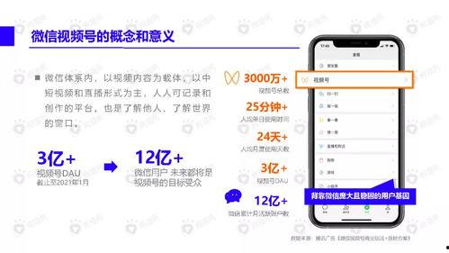 沙雕爆料小故事视频下载,揭秘热门视频背后的趣味故事  第1张
